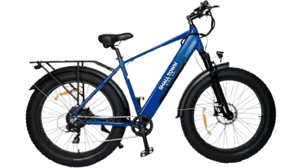 Fat Tire Electric Bike