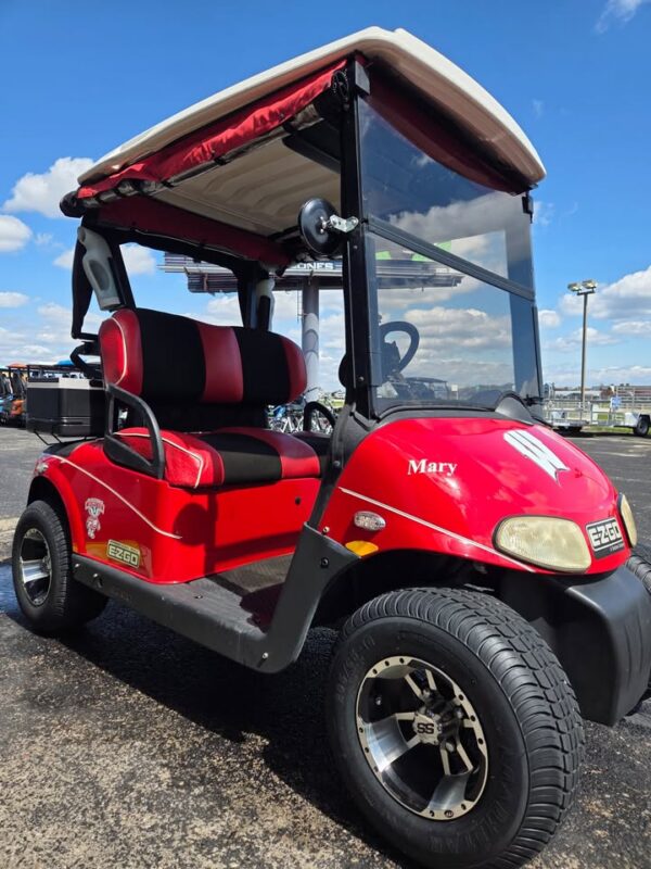 2011 EZGO RXV Electric Golf Cart